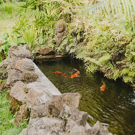 Sweet Orange Pondok Ubud Kültér fotó