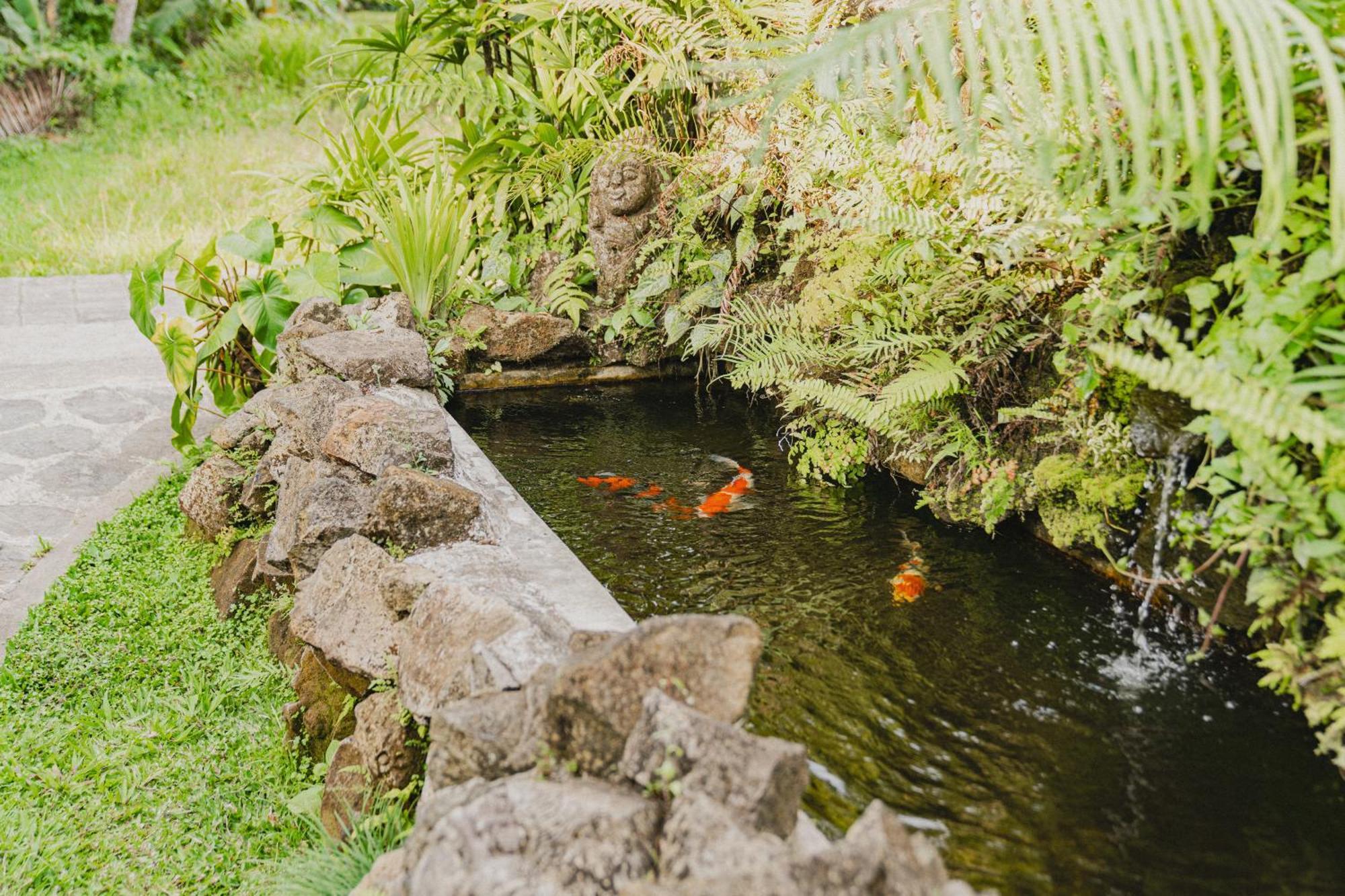 Sweet Orange Pondok Ubud Kültér fotó